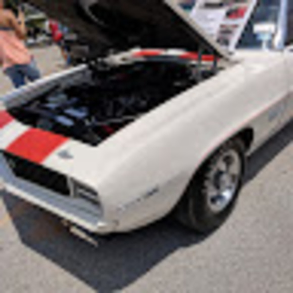 Meet your Posher, Maveke - Picture 1 of 1